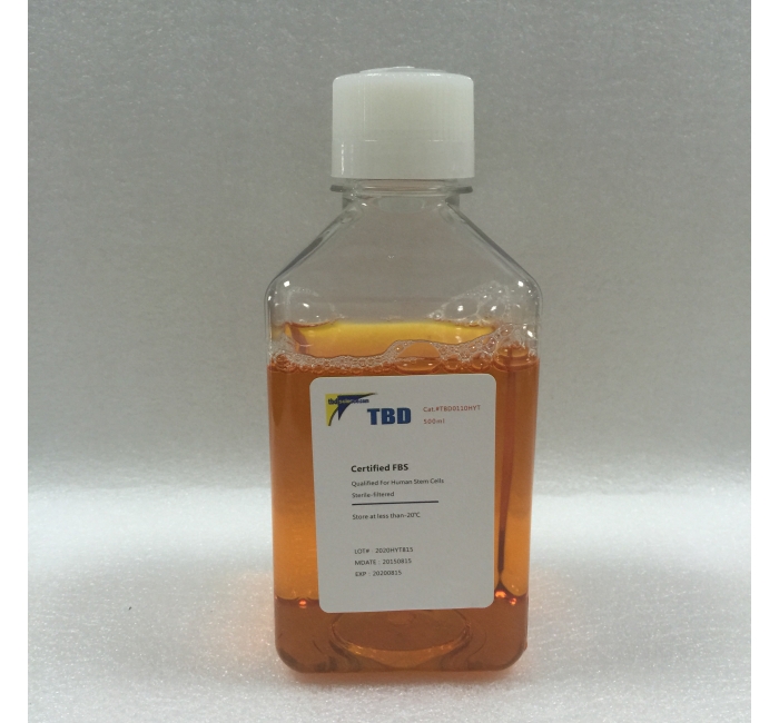 特殊特级胎牛血清（间充质干细胞专用）FBS