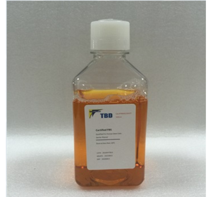 TBD0110-1HYT 特殊特级胎牛血清（间充质干细胞专用）